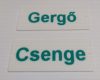 Névtábla készítése, megadott szöveggel RENDELÉSRE !!!!! 1-2 munkanap
